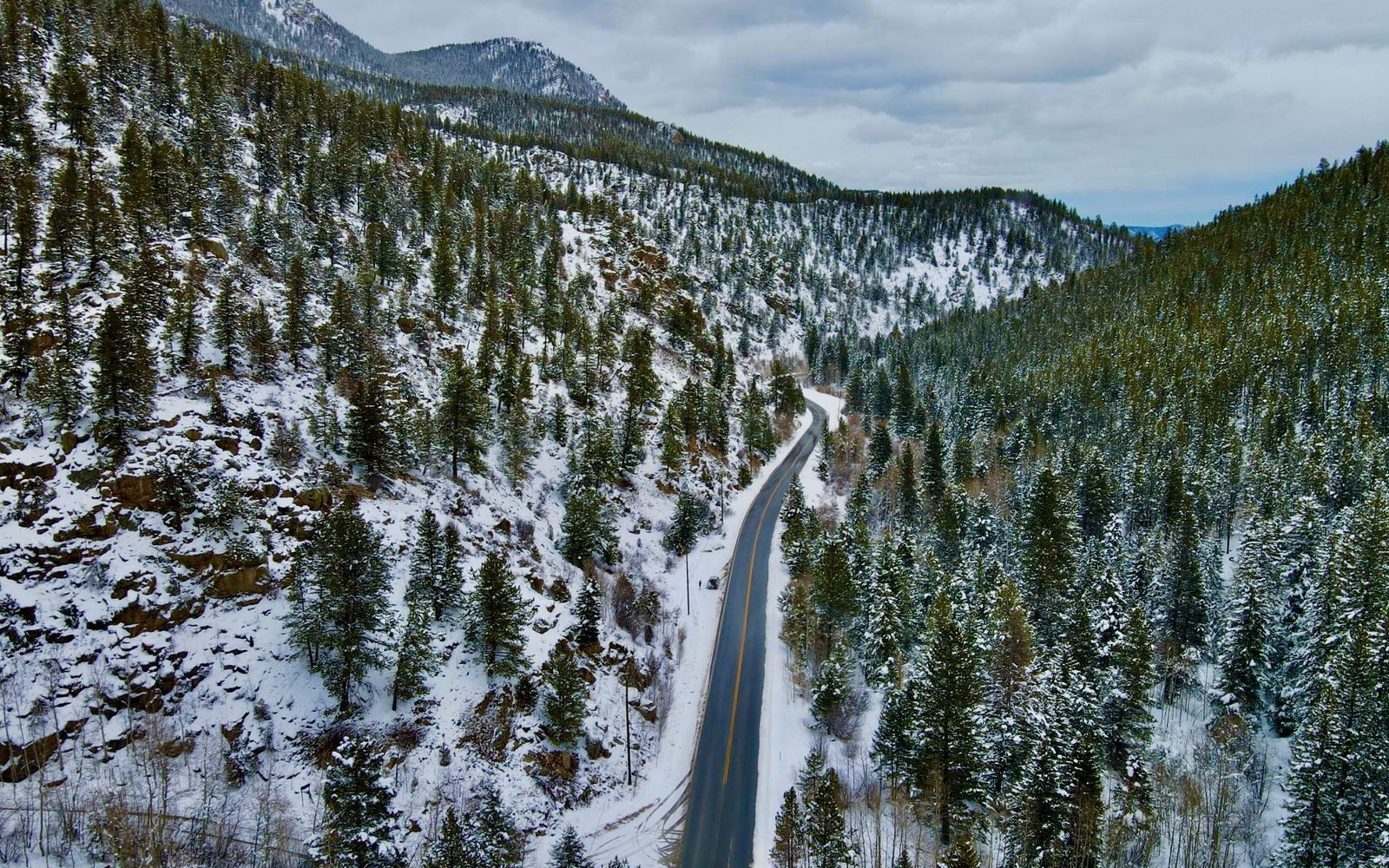 A rural mountain road through pines in southwest Colorado